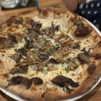 Tucci's - Wild Mushroom Pizza - Seafood Near Me - Dublin, Ohio