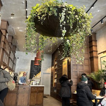 Devoción - Cafes Near Me - New York, New York