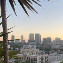 View View