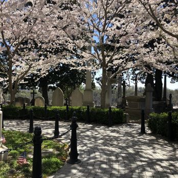 Hollywood Cemetery - Cherry trees in the Presidential Circle - Funeral Services & Cemeteries Near Me - Richmond, Virginia