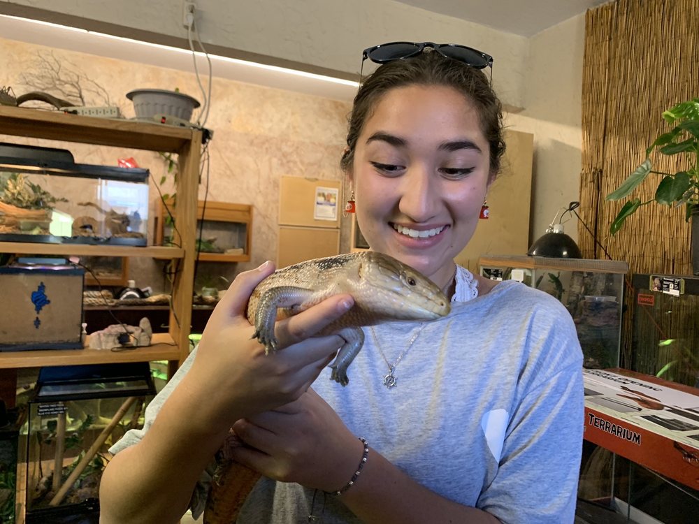 THE REPTILE ZONE - Updated May 2024 - 25 Photos & 15 Reviews - 542 NE