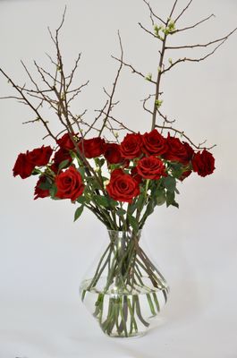Marguerite Gardens Florist by null