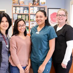 Ardsley Veterinary Associates