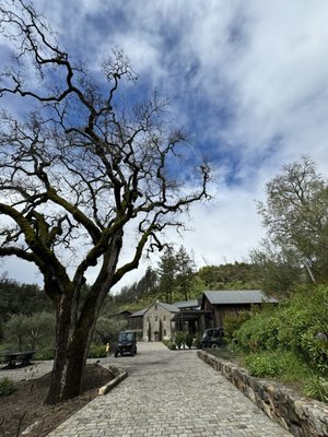 Mayacamas Downtown by null