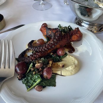 Monarch - octopus - Italian Near Me - Dallas, Texas Monarch - octopus - Italian Near Me - Dallas, Texas