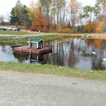 Johnston's Cranberry Marsh - Farmers Market Near Me - Bala, Ontario