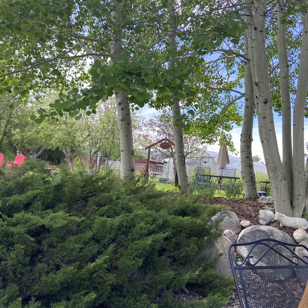 Cafe Regis - Green houses - Cafes Near Me - Red Lodge, Montana