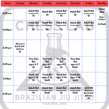 Chess Lab - Brazilian Jiu-jitsu Near Me - Yakima, Washington
