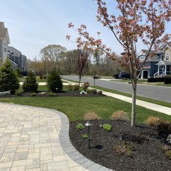 A-Cute Cut Lawn Service - 2021 spring cleanups
