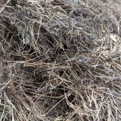 Cattleman's Feed & Ranch Supplies - Moldy smelly hay.