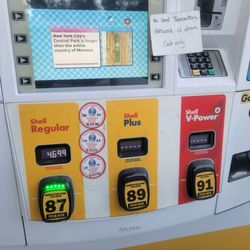 The Alameda Shell - Cash only!