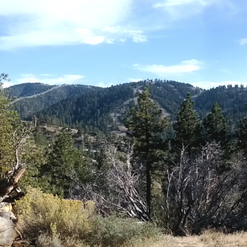 Table Mountain Campground - Panoramic shot from site #40 - Campgrounds Near Me - Llano, California Table Mountain Campground - Panoramic shot from site #40 - Campgrounds Near Me - Llano, California