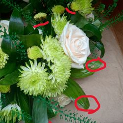 Mary Woods Florist