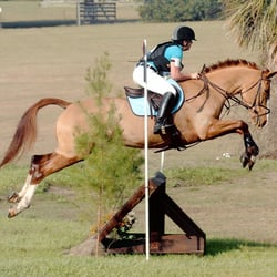 Sarah Stinneford Equestrian