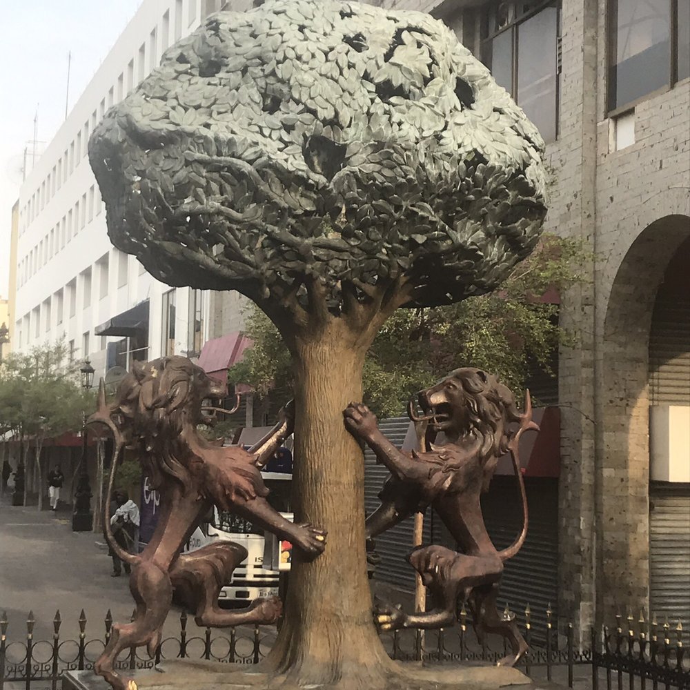 Plaza de Armas - Public Plazas Near Me - Zona Centro, JAL