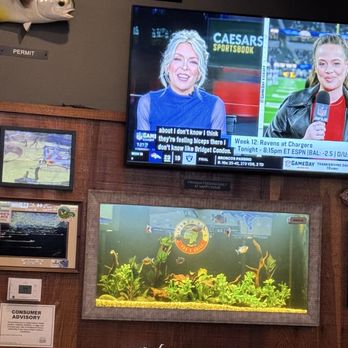 Piranha Pat’s - Fish tank! - Pubs Near Me - Stuart, Florida Piranha Pat’s - Fish tank! - Pubs Near Me - Stuart, Florida