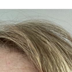 Chic Spa Microblading Academy - See the top line in a different color.