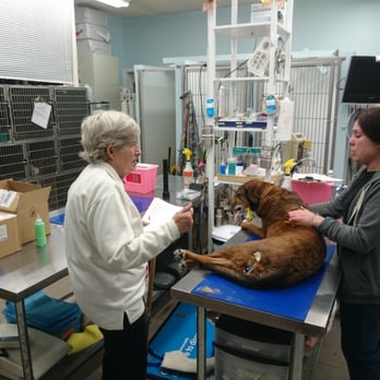 Peace Love Pets Veterinary Care, A Thrive Pet Healthcare Partner - My grandma and Nestle after therapy. - Veterinarians Near Me - Commack, New York Peace Love Pets Veterinary Care, A Thrive Pet Healthcare Partner - My grandma and Nestle after therapy. - Veterinarians Near Me - Commack, New York