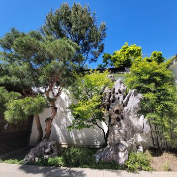 Lan Su Chinese Garden - The Three Friends of Winter - pine, plum, bamboo - Botanical Gardens Near Me - Portland, Oregon Lan Su Chinese Garden - The Three Friends of Winter - pine, plum, bamboo - Botanical Gardens Near Me - Portland, Oregon