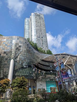 Orchard Rd by null