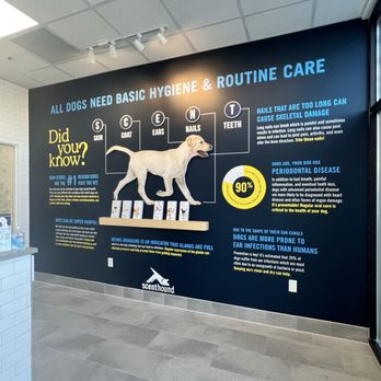 Scenthound Meridian - Interior - Pet Groomers Near Me - Meridian, Idaho