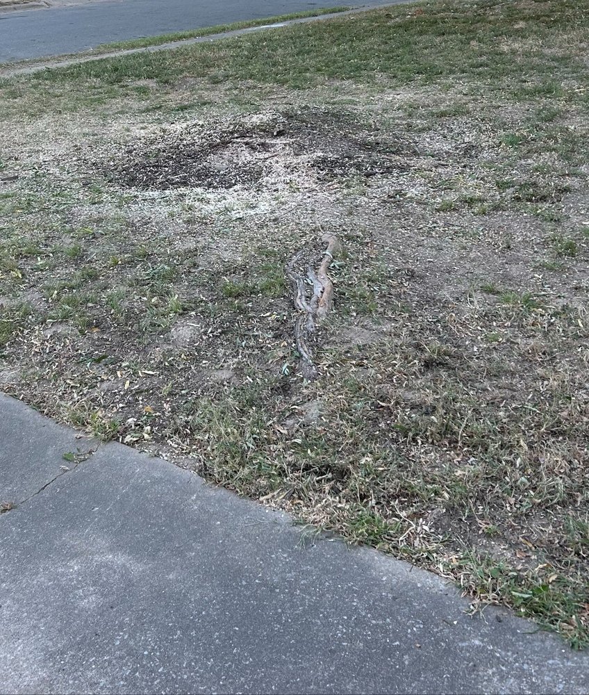 Vizueth Tree Services - tree service in Springdale, AR