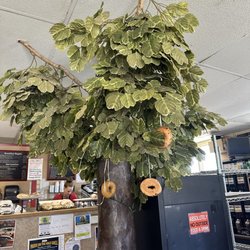 The Bagel Tree Cafe - Hahaha very clever