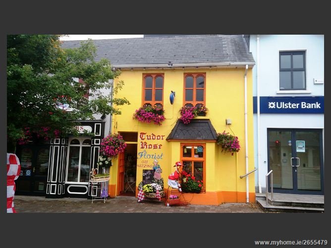 TUDOR ROSE FLORIST Updated August 2024 25 Main Street, Ballincollig