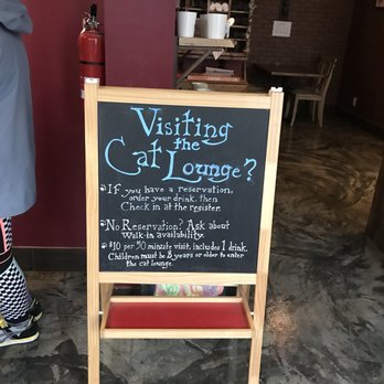 Seattle Meowtropolitan - Themed Cafes Near Me - Seattle, Washington Seattle Meowtropolitan - Themed Cafes Near Me - Seattle, Washington