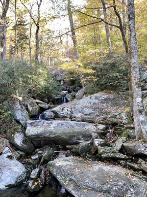 Linn Cove Viaduct by null