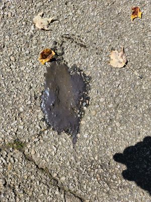 Thompson's Sewer Service Logo