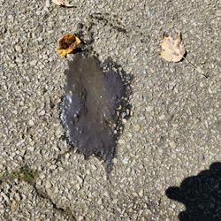 Thompson's Sewer Service - Sewer spillage