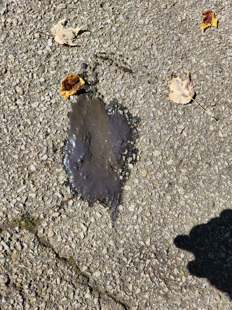 Slide of Thompson's Sewer Service