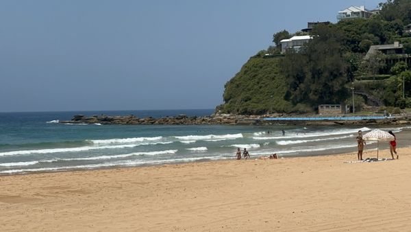 Palm Beach by null