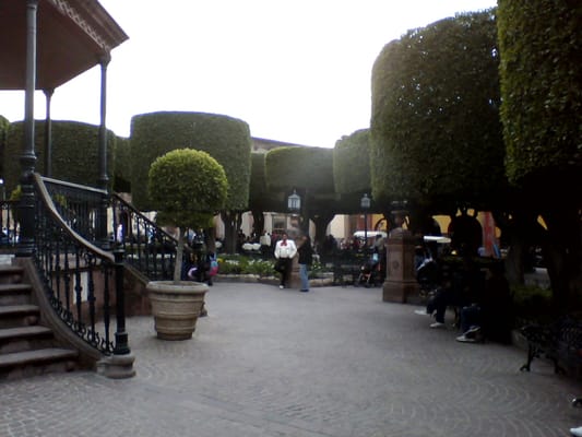 Jardín Allende by null