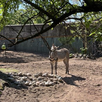 Lincoln Park Zoo - Zoos Near Me - Chicago, Illinois Lincoln Park Zoo - Zoos Near Me - Chicago, Illinois