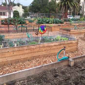 Pasadena Community Garden - Spinner - Community Gardens Near Me - Pasadena, California Pasadena Community Garden - Spinner - Community Gardens Near Me - Pasadena, California