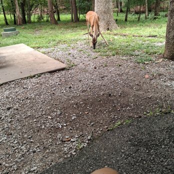 Harrison Bay State Park - Parks Near Me - Harrison, Tennessee