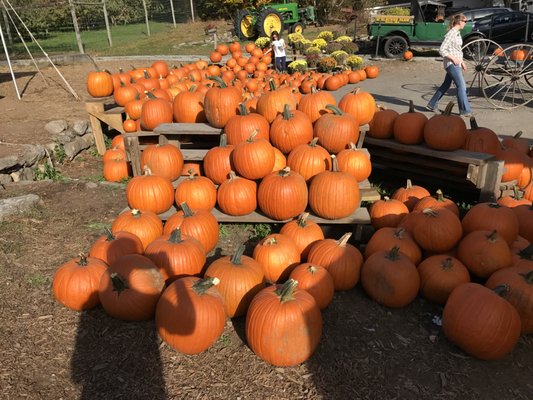 Shelburne Farm by null