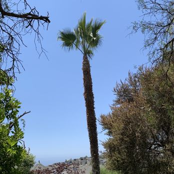 Fnl Landscaping - Landscaping Near Me - Costa Mesa, California