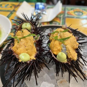 Holbox - Latin American Near Me - Los Angeles, California Holbox - Latin American Near Me - Los Angeles, California