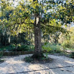 Cay Creek Wetlands Interpretive Center - Garden at trail head.