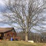 Photo of All Seasons Outdoor Services