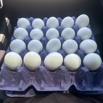 WAIALUA FRESH EGG FARM - Updated January 2025 - 37 Photos & 30 Reviews