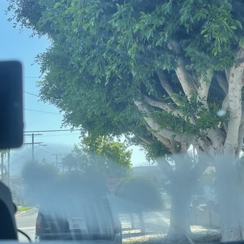 South Shore Auto Service - Thanks Mike air conditioning is so cold it freezes the windshield now - Auto Repair Near Me - San Pedro, California South Shore Auto Service - Thanks Mike air conditioning is so cold it freezes the windshield now - Auto Repair Near Me - San Pedro, California