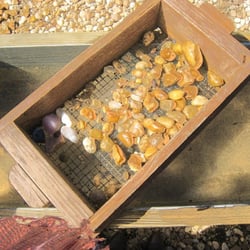 Gold 'N Gem Grubbin'