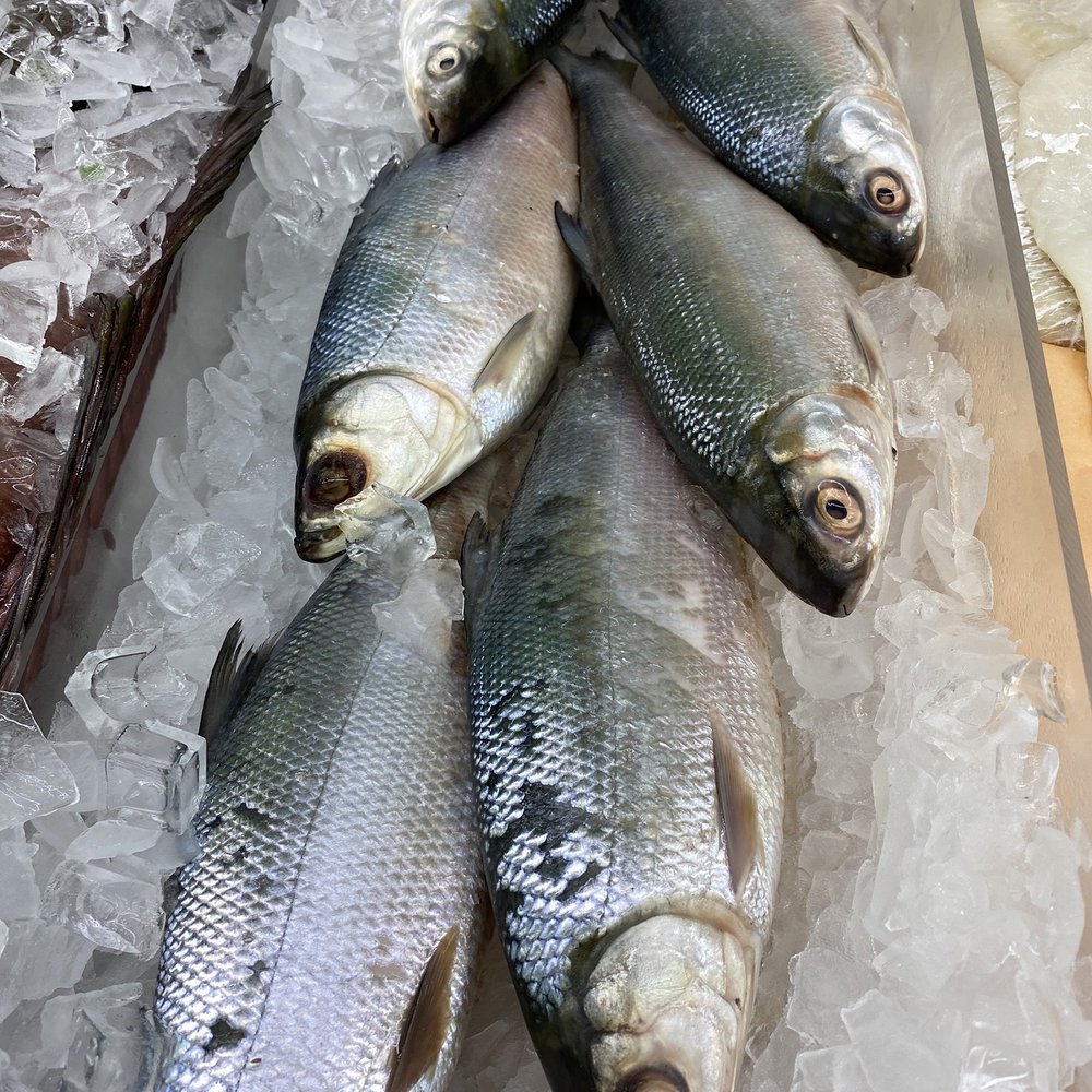 New York Mart - While fish. Great for steamed dishes. - International Grocery Near Me - Sunrise, Florida New York Mart - While fish. Great for steamed dishes. - International Grocery Near Me - Sunrise, Florida