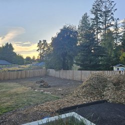Grove Tree Care - After - Firewood neatly stacked, wood chips where we requested, and so much fruit already cleaned up for us! Ignore the cardboard, that's us