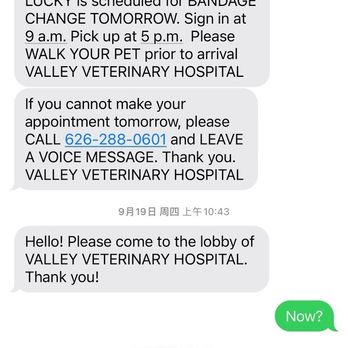 Valley Veterinary Hospital - Veterinarians Near Me - San Gabriel, California