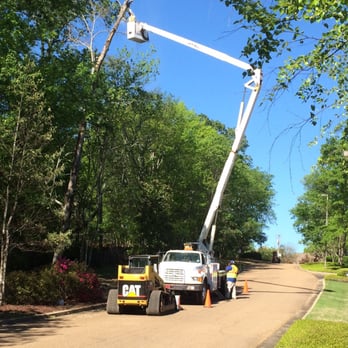 Kustom Kutz Tree Service - a man on a cherry picker - Tree Services Near Me - Brandon, Mississippi Kustom Kutz Tree Service - a man on a cherry picker - Tree Services Near Me - Brandon, Mississippi